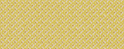 Cleo Lemon