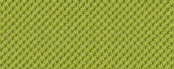 Apfelgrün