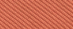 Oceanic OOC05 Coral