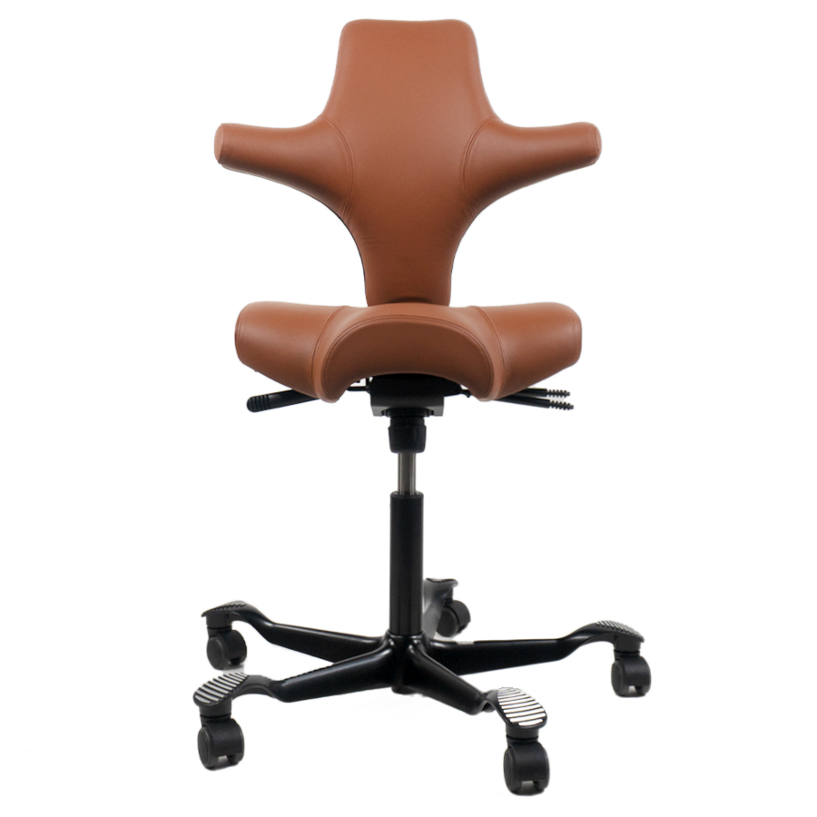 HAG CAPISCO 8106 | Leder Paloma Sonderfarbe coffee | Gestell schwarz