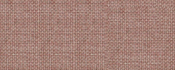 Sawana rose 061